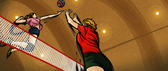 배구 팀별 순위